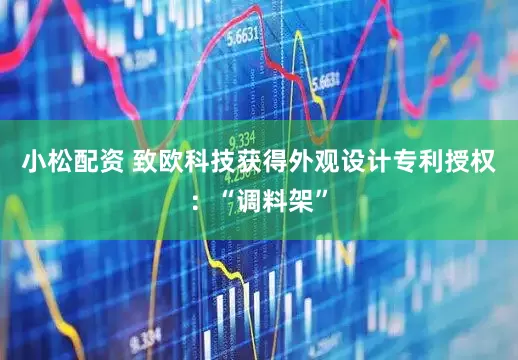 小松配资 致欧科技获得外观设计专利授权：“调料架”
